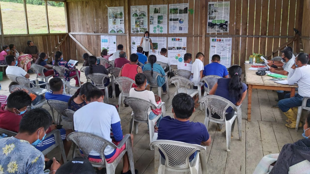 Redd.8-preparacion.implementacion.ecuador