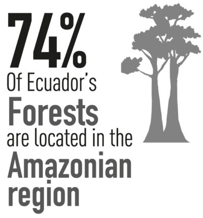 2.ecuador.amazonia.bosques.amazon.ambiente.proamazonia