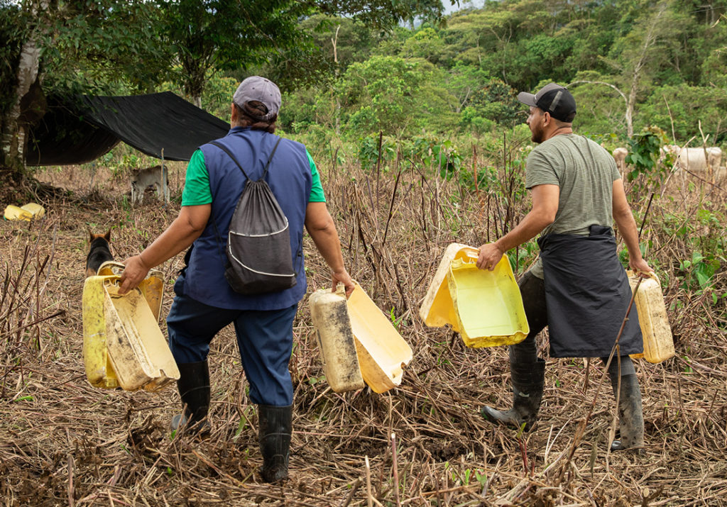 La Importancia De Las Mujeres En La Producción Ganadera - Proamazonia